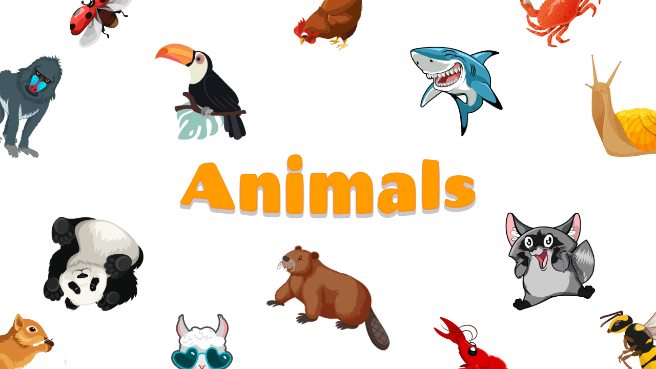 Animals