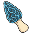 Blue Morel Default