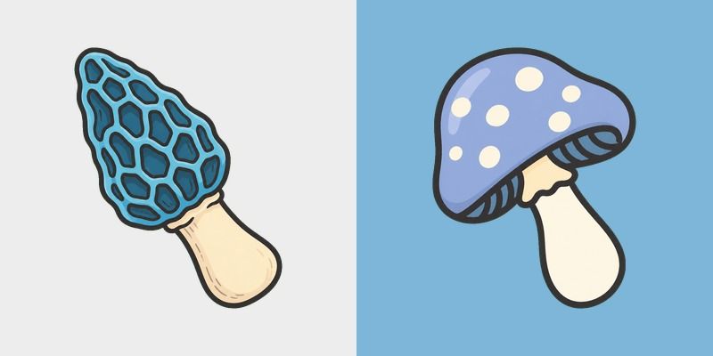 Blue Morel