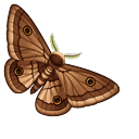 Brown Emperor Moth Default