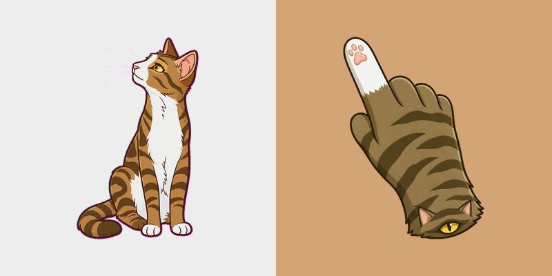 Cute Brown Tabby