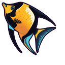 Cute Queen Angelfish Default