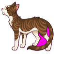 Cute Walking Tabby Default