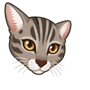 Fishing Cat Default