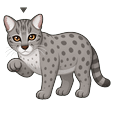 Fishing Cat Pointer