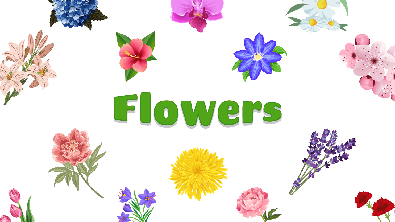 Flowers