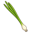 Scallion and Chopped Green Onion Default
