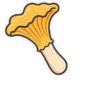 Golden Chanterelle Default