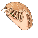 Isopod Meme Pointer