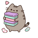 Laundry Pusheen Default