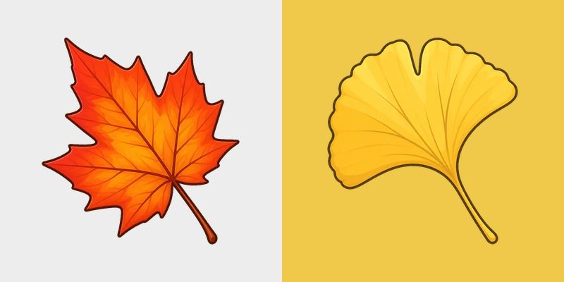 Maple Breeze