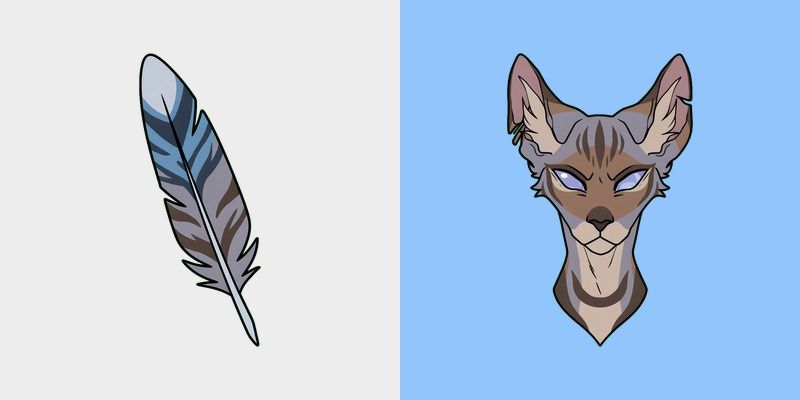 Mist Feather Cat