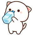 Mochi Peach Cat Water Bottle and Ice Cube Default
