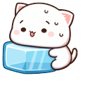 Mochi Peach Cat Water Bottle and Ice Cube Pointer