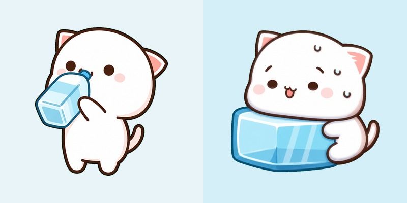 Mochi Peach Cat Water Bottle and Ice Cube