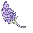 Molang Lilac Branch Default