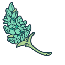 Molang Mint Branch Default