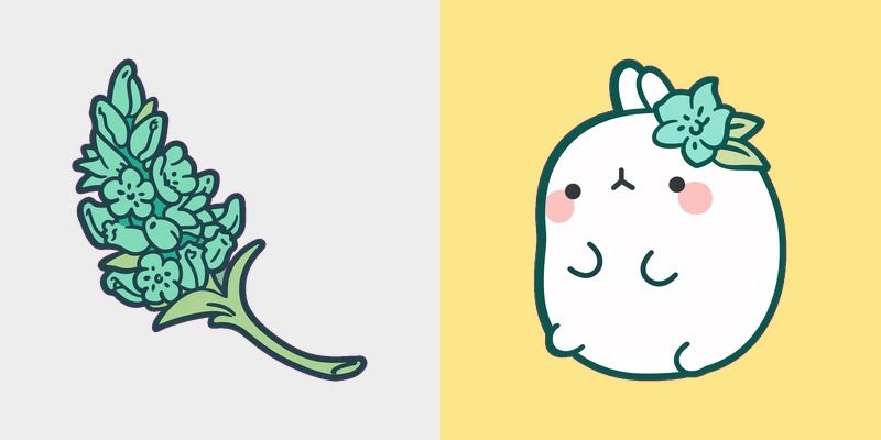 Molang Mint Branch