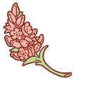 Molang Peach Blossom Default
