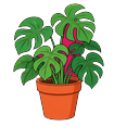 Monstera Leaf Pot Pointer