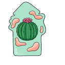 Potted Cactus Bloom Default