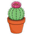 Potted Cactus Bloom Pointer
