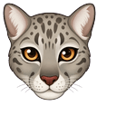 Animals Snow Leopard Default