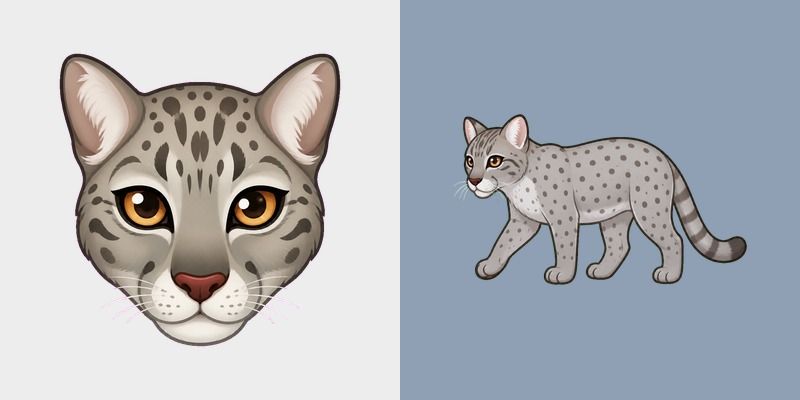 Animals Snow Leopard